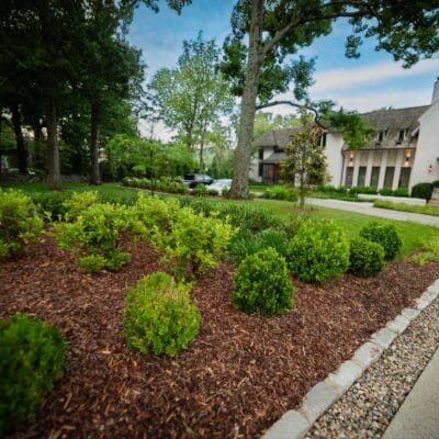 Nashville, TN Plant Health Care Services Company