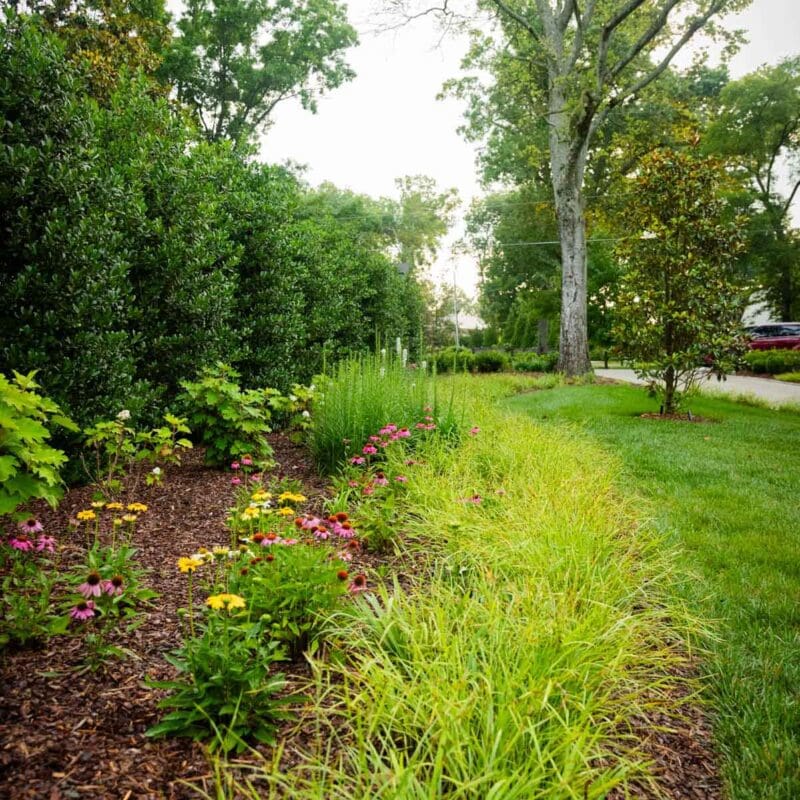 Nashville, TN Plant Health Care Services Company