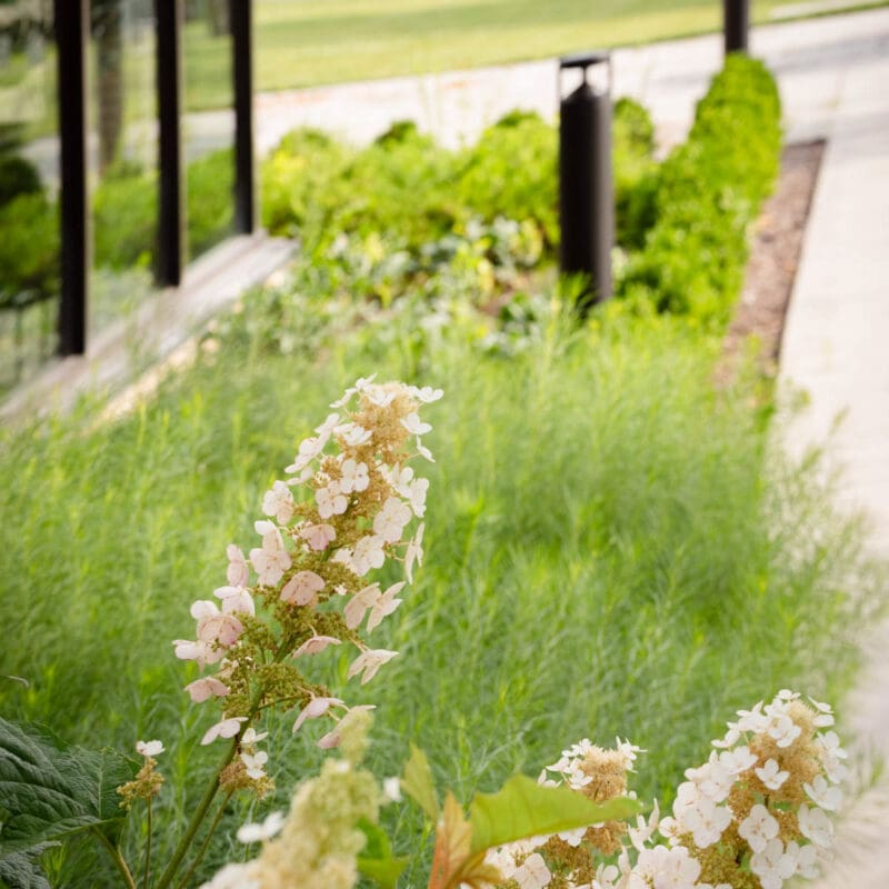 Nashville, TN Plant Health Care Services Company