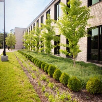 Nashville, TN Plant Health Care Services Company