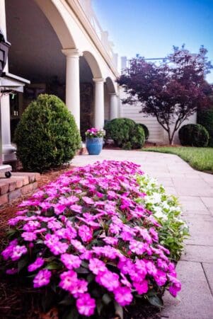 Nashville, TN Plant Health Care Services Company