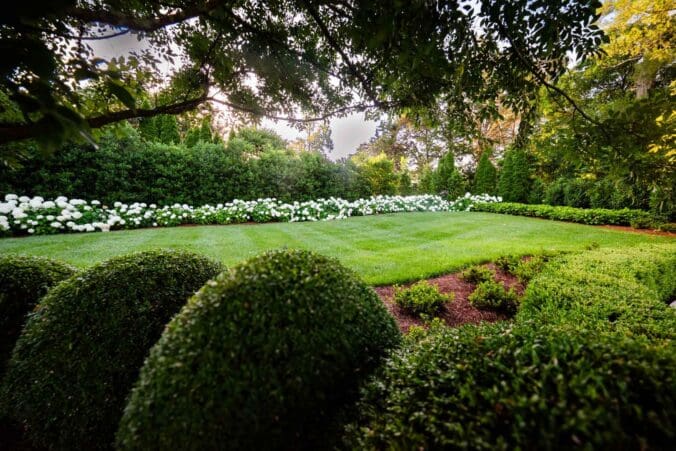 Nashville, TN Plant Health Care Services Company