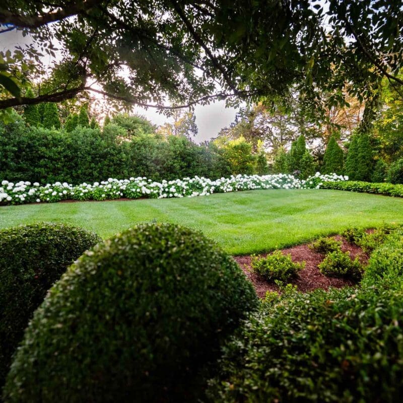 Nashville, TN Plant Health Care Services Company