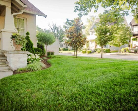Nashville, TN Lawn Care Companies