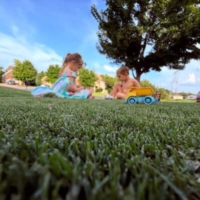 Nashville, TN Weed Control Services