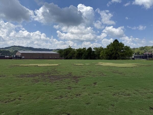 Nashville, TN Sod & Turf Management Services