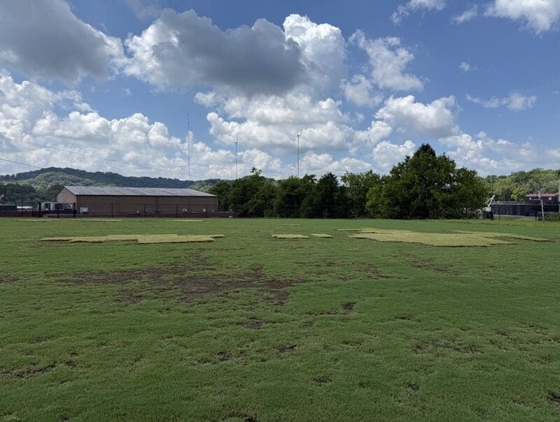 Nashville, TN Sod & Turf Management Services