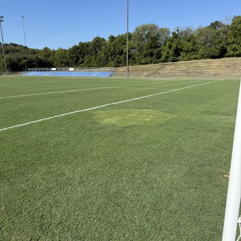 Nashville, TN Sod & Turf Management Services