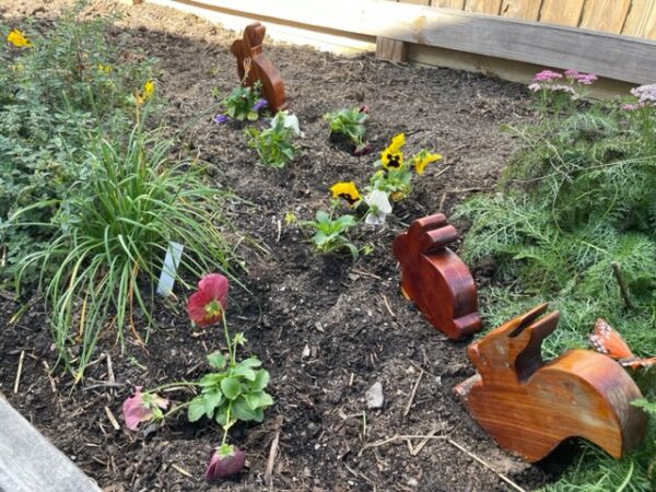 Small Cedar Animals