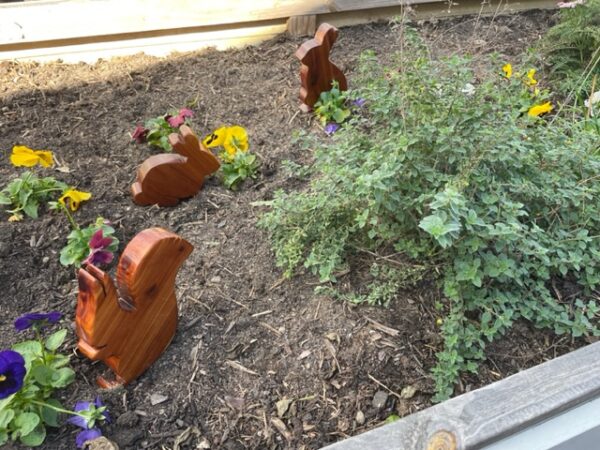 Small Cedar Animals